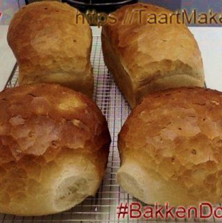Zin om zelf lekker en luchtig brood te bakken in je oven: wit of licht grof? Of wil je zo gemakkelijk mogelijk een volkorenbrood bakken in je broodbakmachine?